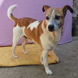 D 03929c64 aeaf 4ed5 9a18 6d74bea2e33d