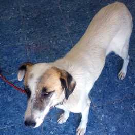 D f0c5c822 1234 49c8 9a05 611e99ba7c57