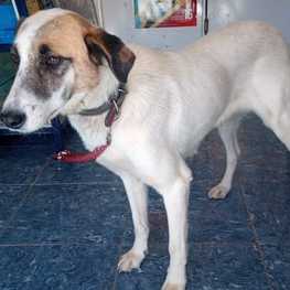 D fe19e99b 29d5 47ae bf53 42e953cece98