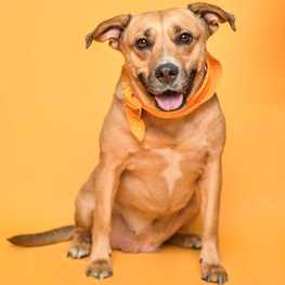 D 107c7c0f 754f 4239 92e7 ca1e73eed7ed