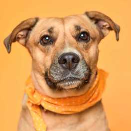 D 5e56d1d9 529c 4ffe 938b df066470fbb9