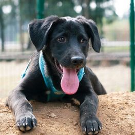 D ac421351 ffb8 4b42 9806 933b9a9ac224