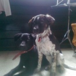 D 43b69651 adc9 4589 adfb 2f6e019aeee6