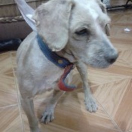 D 5c431404 20b0 446f 9c03 f6c642b77a6f