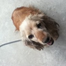 D f104b2a6 300d 402f b99d ace33a76070e