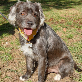 D 8ba9e83b b488 43f8 8f53 8936fa877557