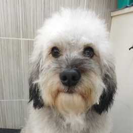 D d4c12ad5 d6ec 4d59 8735 6e2f887cc68e