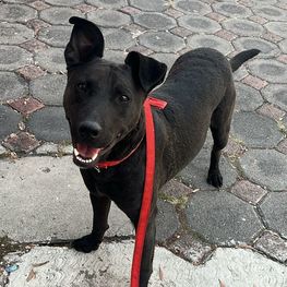 D 7d12bff4 e466 4f30 b096 0ef6563b352c