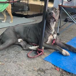 D 41c76554 2bbd 4c34 b524 be5048f103a5