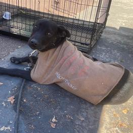 D 9c9ca2d4 f6a3 4890 ba4f 3c085a605461