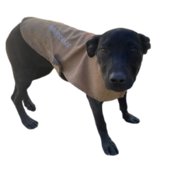 D 511db558 6810 48ab ac51 8eb55dbab68d