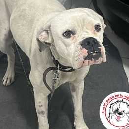 D 3ed27e1a 6193 4076 8df4 03ab824a911f