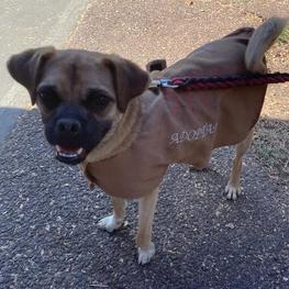 D 8ee869b2 2483 425e b0cb 7cfd27895dad