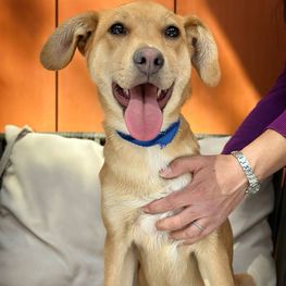 D 2f7b3929 a61f 4465 984c 3b0e1fa0fb0d