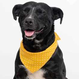 D 69f226ed d6da 4b22 b0be d35afbdabc80