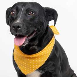 D 8d38d024 0fb5 4441 b72d 5f4d382dd084