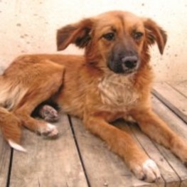 D 3f73f76e ca02 4b57 babf 791775916c26