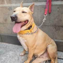 D 8c4d0e17 b64f 46d9 b79e ff50c2ecdbee