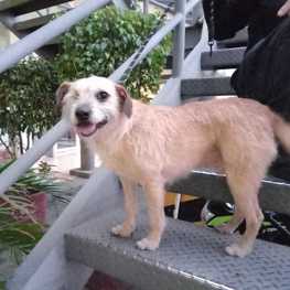 D 6e57ca47 46b8 4049 b5b5 939eb1a2f6c8