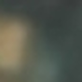 D 73989bd9 243e 492d a3c1 d71de8f124a5