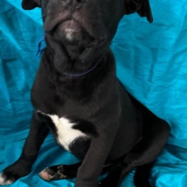 D 35a61e12 4623 4429 894a d2f162bde1c4