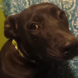 D a3bcaa37 03ae 4c26 993a 29e91940299c