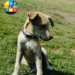 D 2a19ed56 5b7d 4d93 a941 fab3765974b2