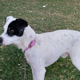 D 8ab4d6ce 98a9 4c50 ad1f 6e5e018a2fba