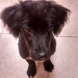 D 0c08413b 670c 4c22 874a 958a1261f1cf