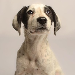 D 25bdcd3a f0b1 4bbe 978a 1933c08635a7