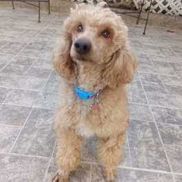 D 2fd165f9 3e35 4be6 9312 2141567cd37e