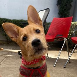 D 7157baaa 607f 4b9a acaa 55ab76bd1ca8