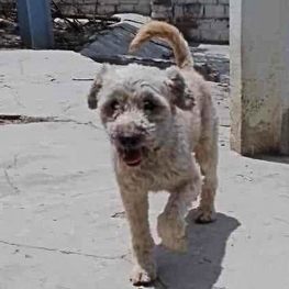 D 1170e8df f616 4802 b51f 858f02322a4b