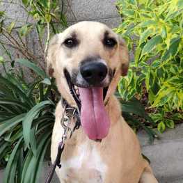 D 2c920ed0 c9e2 4c17 835e afba10b45e54