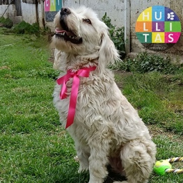 D cd10b8ce 4694 4fc2 a916 7f5dc2c366c7