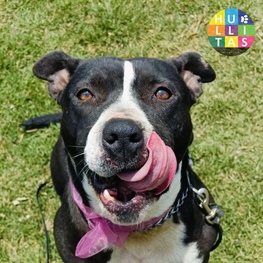 D f081f49e 920a 4150 8b5b 269008eca4e9