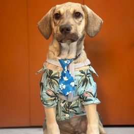 D 7d6f4fe7 de17 49f7 94b0 81aa2c857ad5