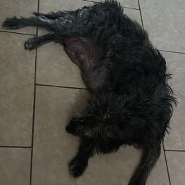 D e53e0dbb dff7 4e6d 94e6 9869c606d3ed