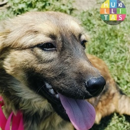 D 2b31063d b207 4695 aee8 5458873ee851