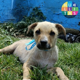 D 231a411f 667e 4a71 81e6 32170e7bd425