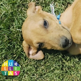 D b5e91c42 a185 47c2 832a 924bb914b14c