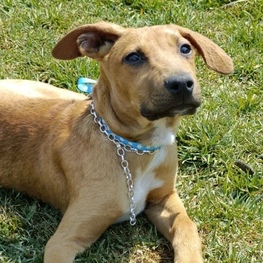 D 1e2b7f37 0531 4a3b 9533 c7a15d1bacb7