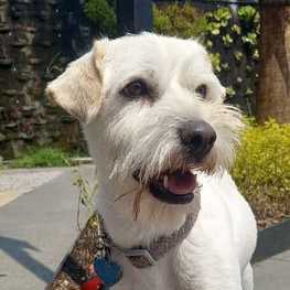 D 491a7ea0 a78b 4341 9fdc 408d2f4b34c9