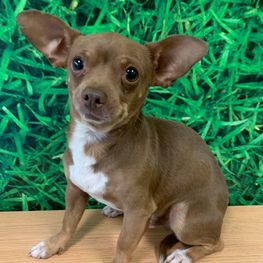 D 69b8d2af 9323 4e4f b6fa 3845e9731d18