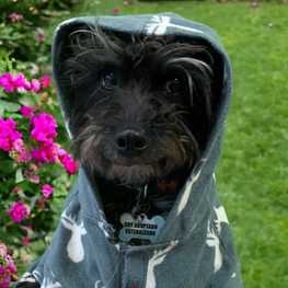 D 634d4b4b 66a1 49d6 8167 18362f8737cb