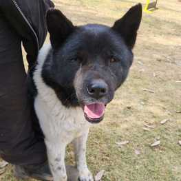 D 6d47c466 eb89 4d84 a04a 07794775c128