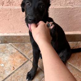 D f0a10951 294d 44b4 b367 d7da168e534c