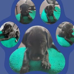 D 5cfa9ffd 5f25 4079 9ecc 5faeca4fe2db