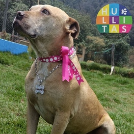 D 2eabb47f c480 4918 9aaf a26b24872e0b