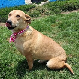 D ba43d116 a80a 46c6 b425 7ccb08c5759e